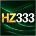 HZ333 Game